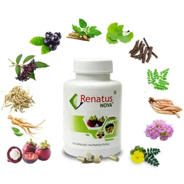 Renatus Nova Renatus Wellness - Original (120 N) - PACK OF 2