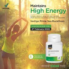 Vestige Prime Sea Buckthorn (60N)